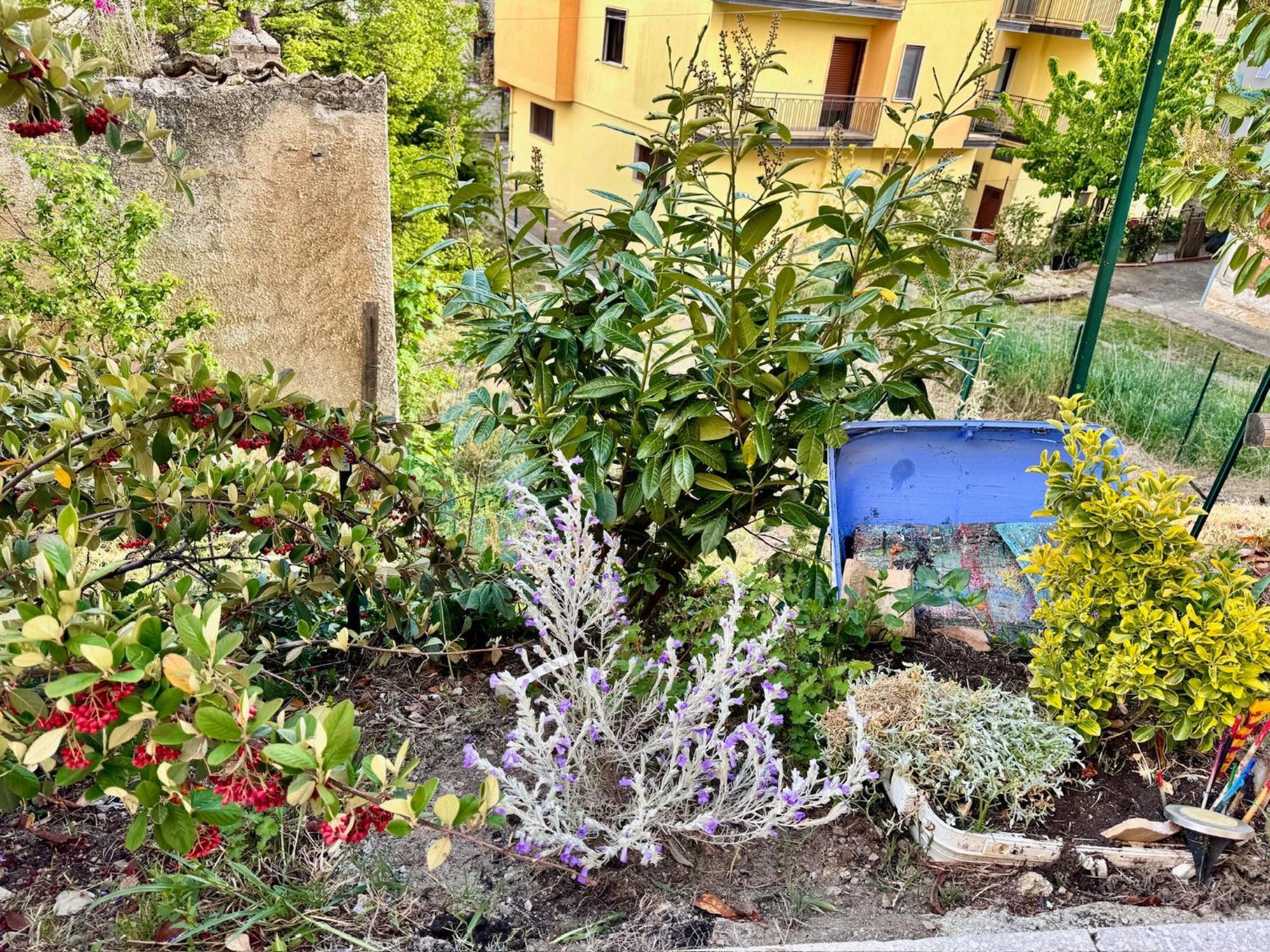 La Casa Dell'Artista Di Vittorio Vertone Pietragalla 외부 사진